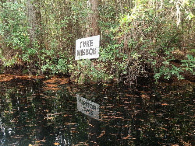 Okefenokee Swamp Park (7. Nov.)