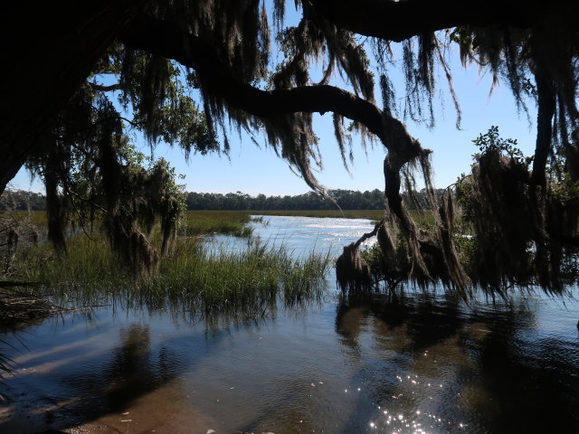 Skidaway River (8. Nov.)