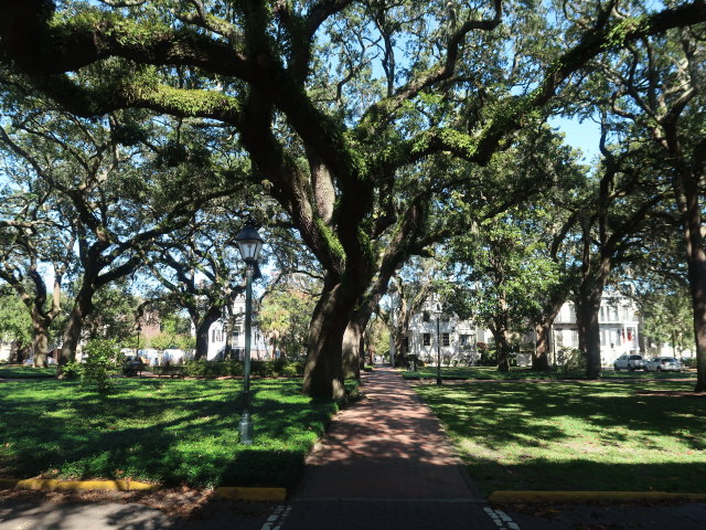 Pulaski Square in Savannah (8. Nov.)