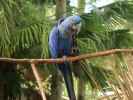 St. Augustine Alligator Farm Zoological Park (6. Nov.)