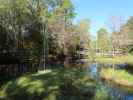 Okefenokee Swamp Park (7. Nov.)