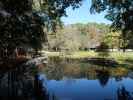 Okefenokee Swamp Park (7. Nov.)