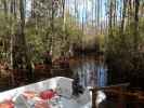 Okefenokee Swamp Park (7. Nov.)