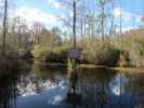 Okefenokee Swamp Park (7. Nov.)