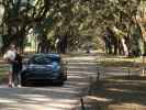 Ich und Sabine in der Wormsloe Historic Site (8. Nov.)