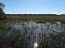 Skidaway River (8. Nov.)