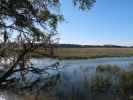 Skidaway River (8. Nov.)