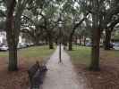 Wragg Mall Park in Charleston (9. Nov.)