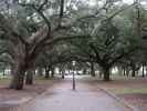 White Point Garden in Charleston (9. Nov.)