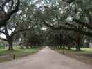 Boone Hall Plantation (10. Nov.)