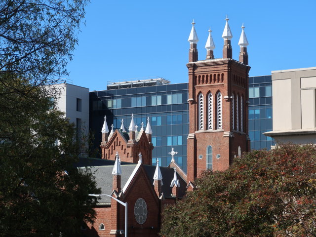 Catholic Shrine of the Immaculate Conception in Atlanta (13. Nov.)