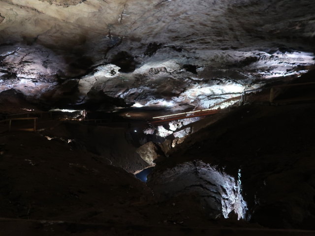 Craighead Caverns (13. Nov.)