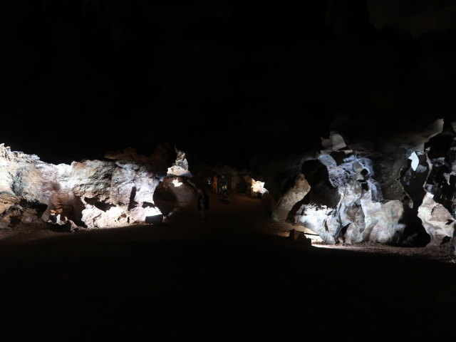 Craighead Caverns (13. Nov.)