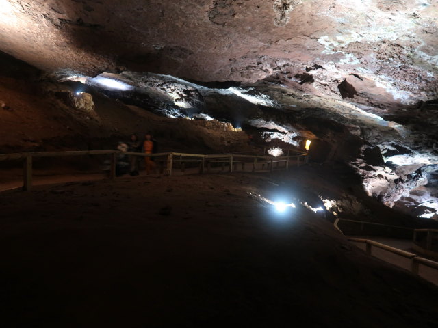 Craighead Caverns (13. Nov.)