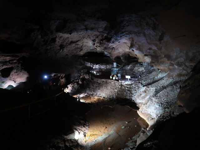 Craighead Caverns (13. Nov.)