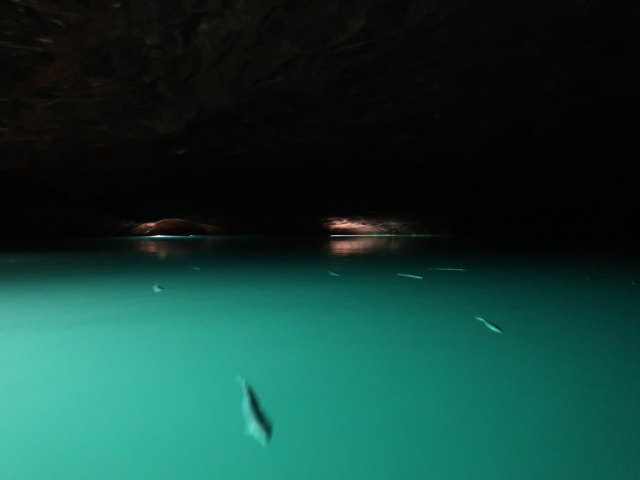 The Lost Sea in den Craighead Caverns (13. Nov.)