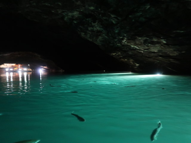 The Lost Sea in den Craighead Caverns (13. Nov.)