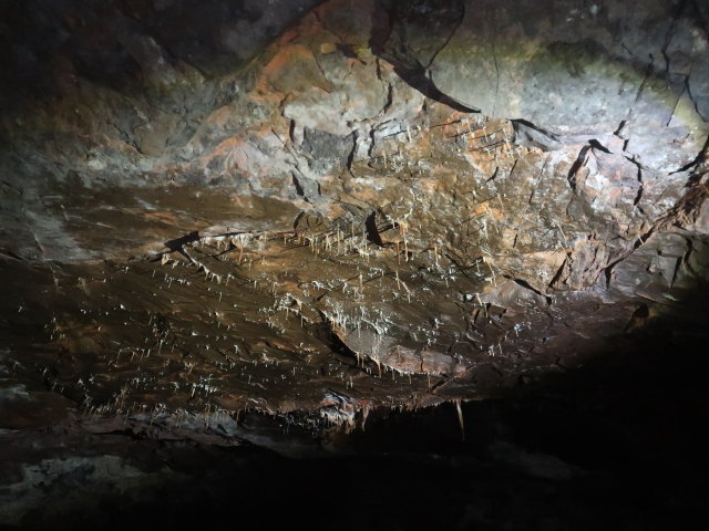 Craighead Caverns (13. Nov.)