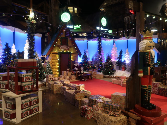 Bass Pro Shops in Memphis (15. Nov.)