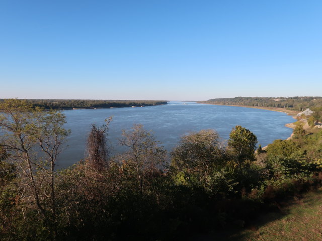 Mississippi River bei Natchez (17. Nov.)