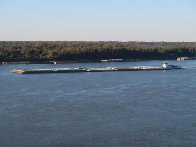 Mississippi River bei Natchez (17. Nov.)