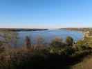 Mississippi River bei Natchez (17. Nov.)