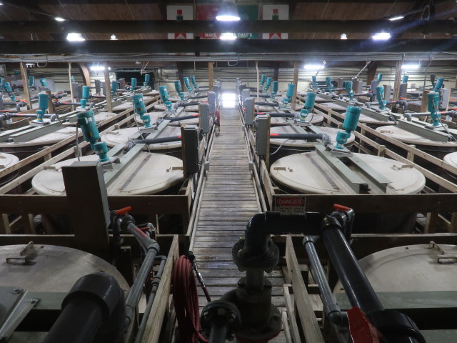 Tabasco Factory auf Avery Island (18. Nov.)