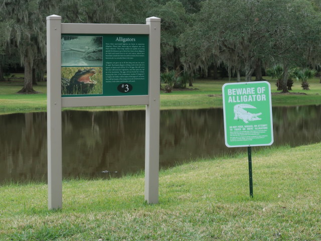 Jungle Gardens auf Avery Island (18. Nov.)