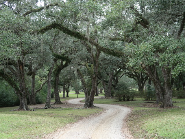 Jungle Gardens auf Avery Island (18. Nov.)