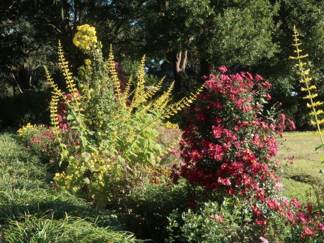 Bellingrath Gardens (21. Nov.)