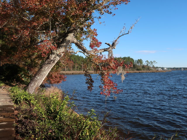 Bellingrath Gardens (21. Nov.)