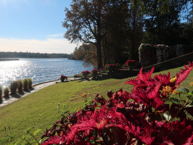 Bellingrath Gardens (21. Nov.)