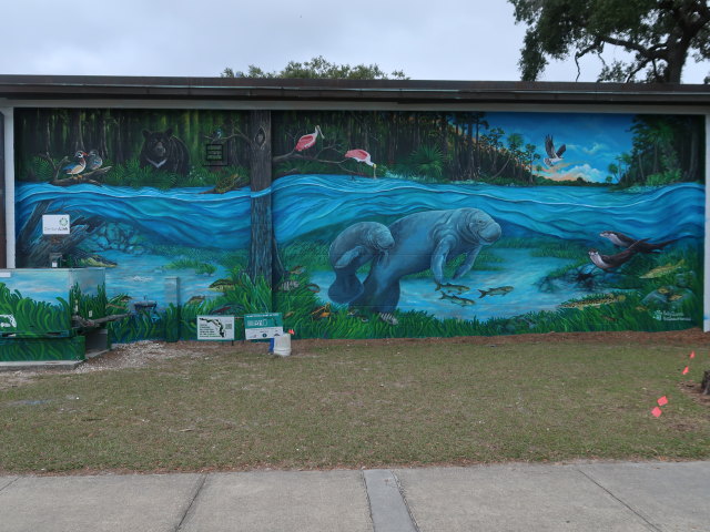 Crystal River (24. Nov.)