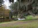 Jungle Gardens auf Avery Island (18. Nov.)