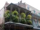 Chartres Street in New Orleans (19. Nov.)