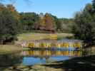 Bellingrath Gardens (21. Nov.)