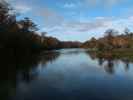 Wakulla River im Wakulla Springs State Park (23. Nov.)