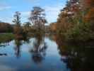 Wakulla River im Wakulla Springs State Park (23. Nov.)