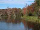 Wakulla River im Wakulla Springs State Park (23. Nov.)