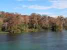 Wakulla River im Wakulla Springs State Park (23. Nov.)