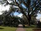 Ponce De Leon Park in Tallahassee (23. Nov.)