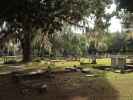 Old City Cemetery in Tallahassee (23. Nov.)