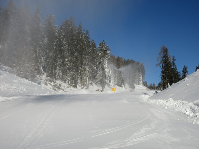 Erlebnisabfahrt Haideralm