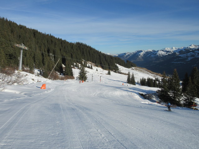 B&auml;renbadkogelpiste II