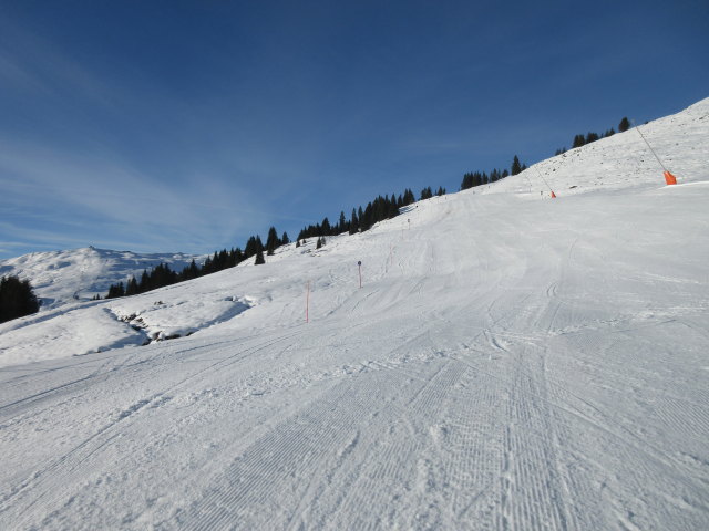 B&auml;renbadkogelpiste II