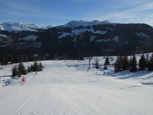 B&auml;renbadkogelpiste II