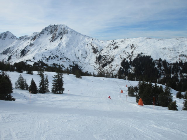 B&auml;renbadkogel-Nord-Piste