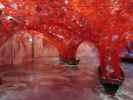 Ausstellung 'Chiharu Shiota - Across the River'