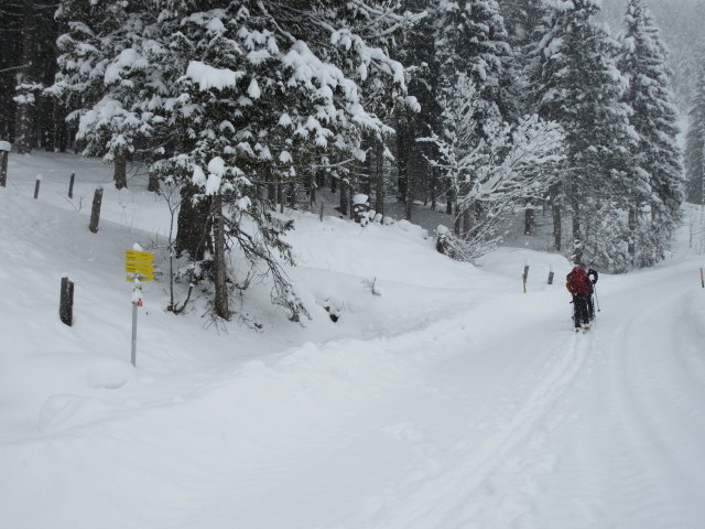 zwischen Gnadenbr&uuml;cke und B&auml;rwurzkaralm