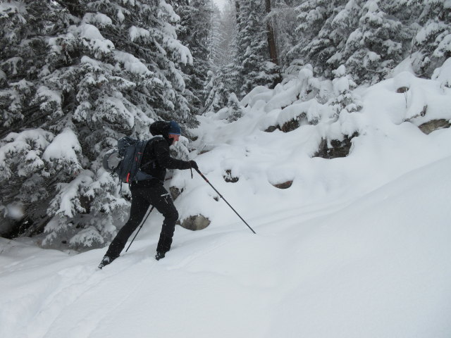 Frank zwischen Gnadenbr&uuml;cke und B&auml;rwurzkaralm